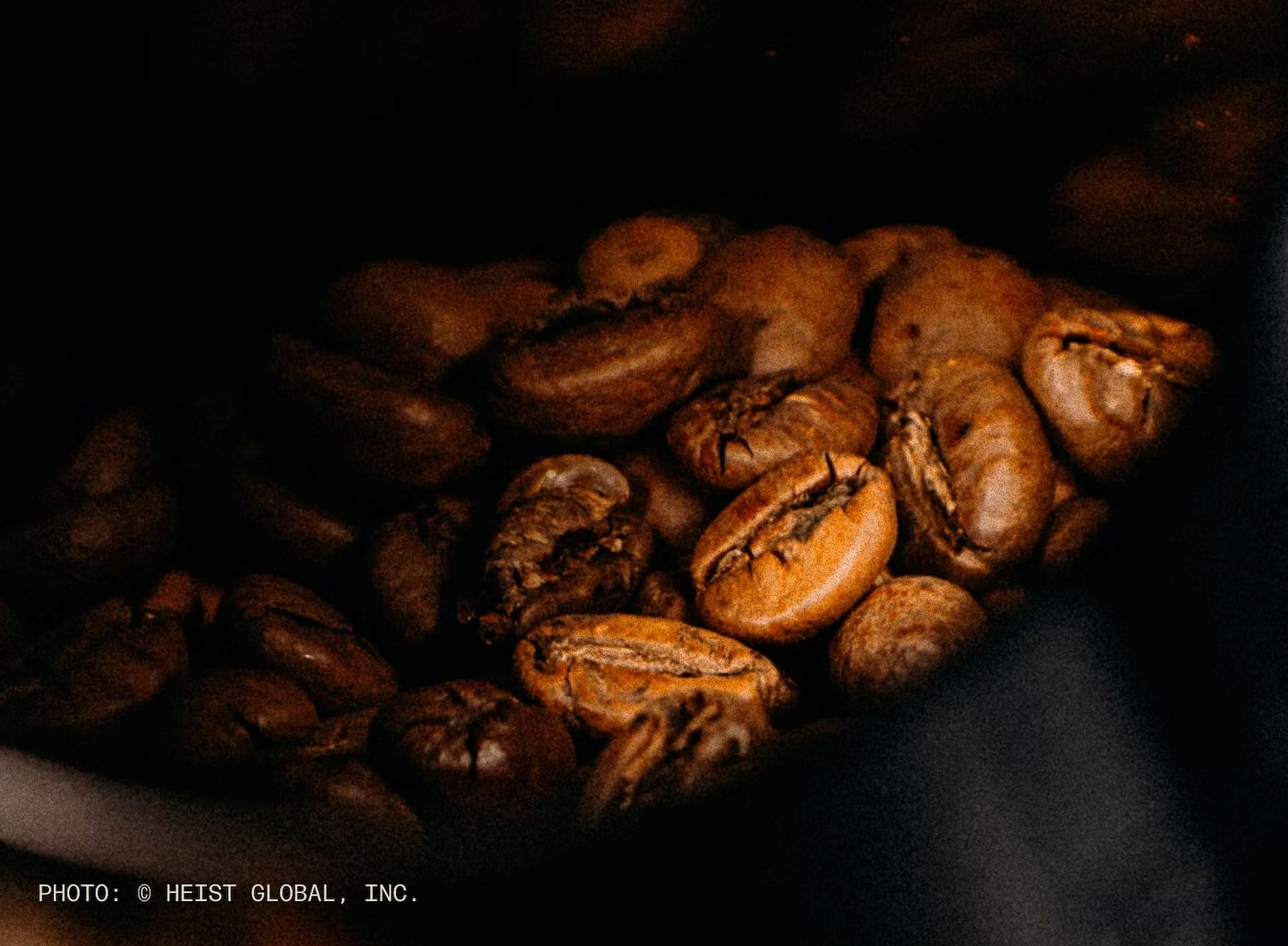 Founders sharing coffee